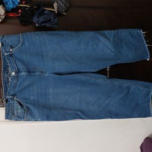 Wild Fable High Rise Straight Ankle Jeans